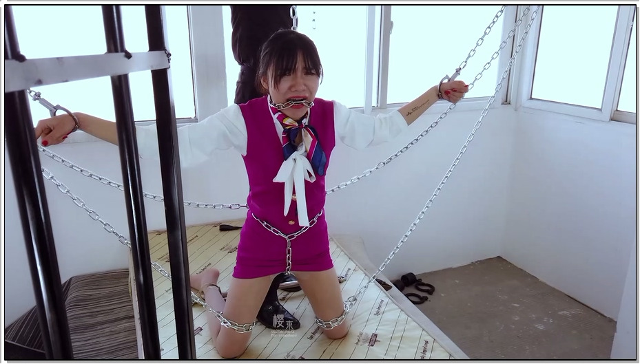 【樱束原创】王牌卧底空姐下 特工王丽卧底毒枭的私人盗取手机失败被擒，等待她的想必..