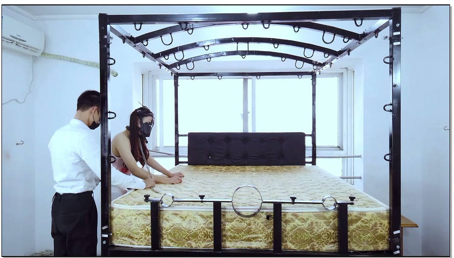 【樱束原创】汐洛养成计划-起源 新签订一份圈养合同