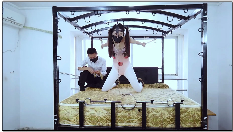 【樱束原创】汐洛养成计划-起源 新签订一份圈养合同