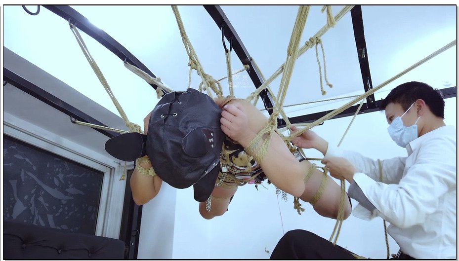 【樱束原创】完全禁锢三 9 全局禁锢,夹+贞操裤内置+封闭头套再加一个狗狗头套双头套带…