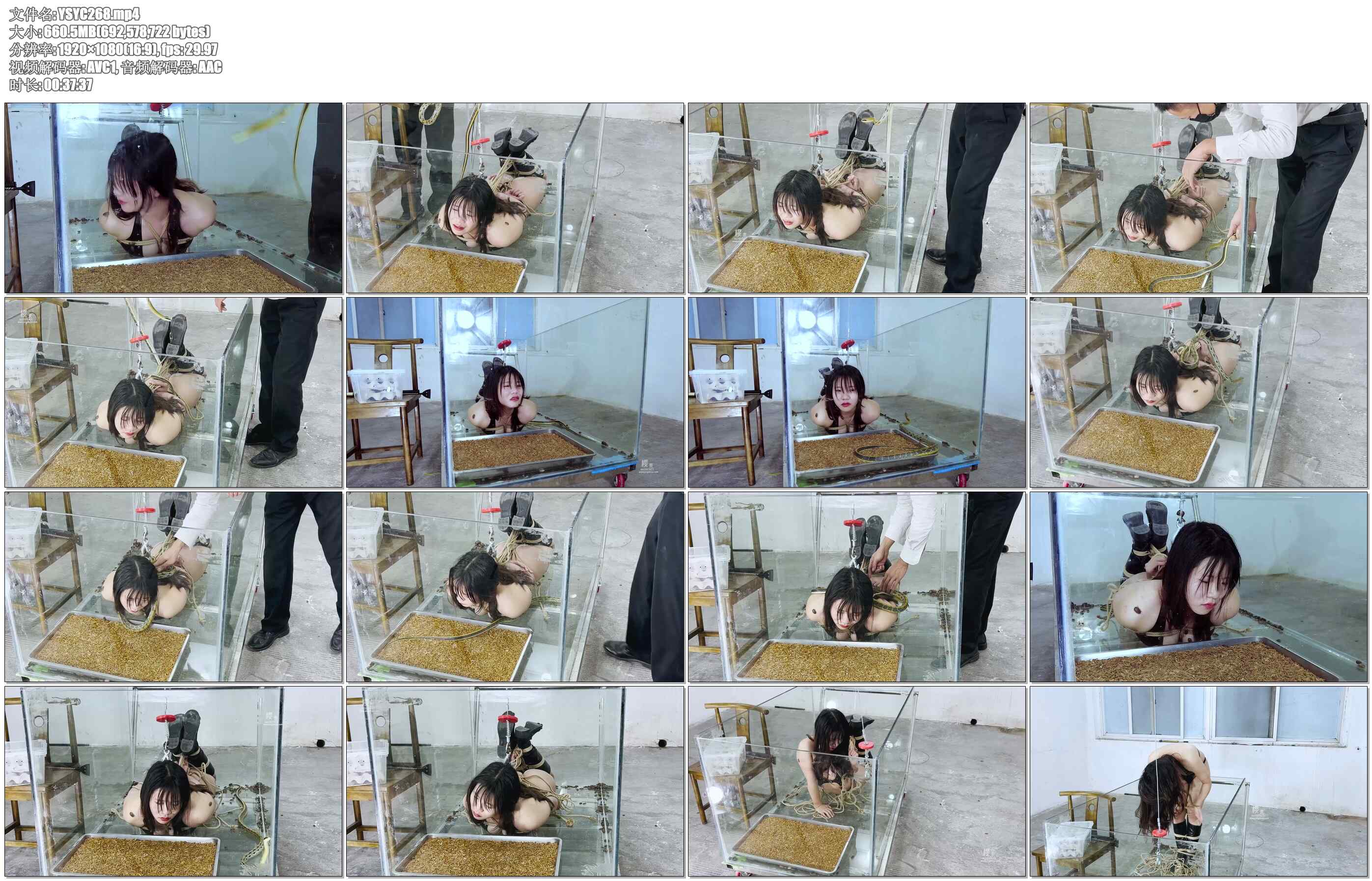 【樱束原创】女王大战蛇妖逃生