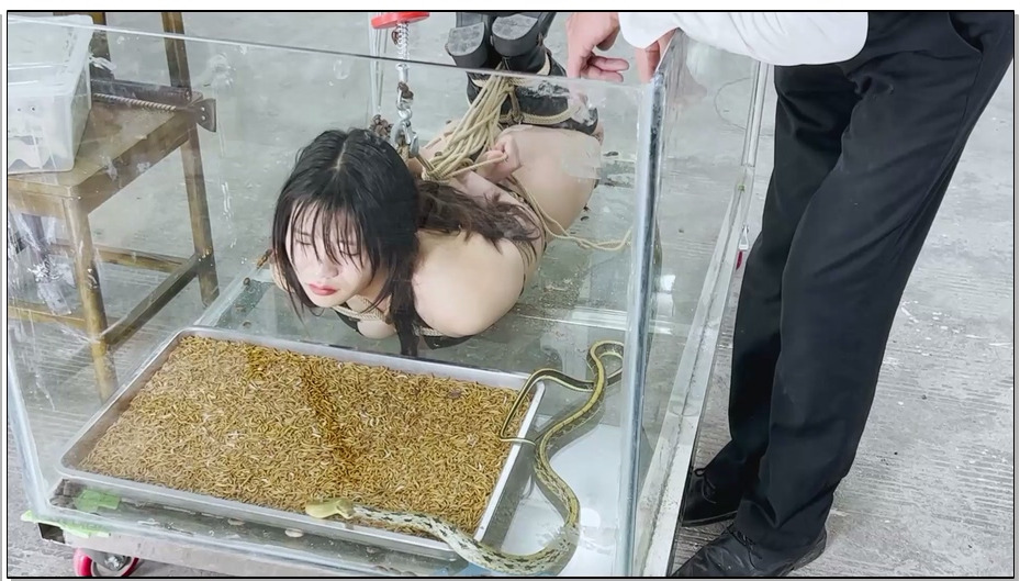 【樱束原创】女王大战蛇妖逃生