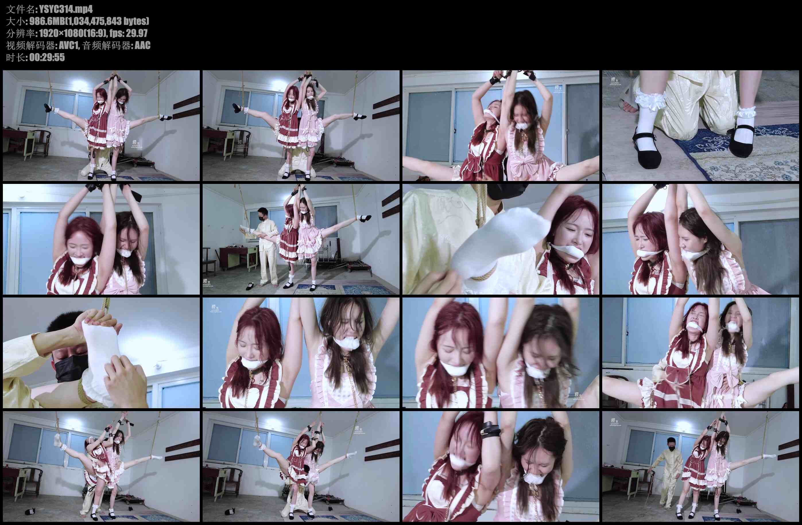 【樱束原创】特工姐妹花