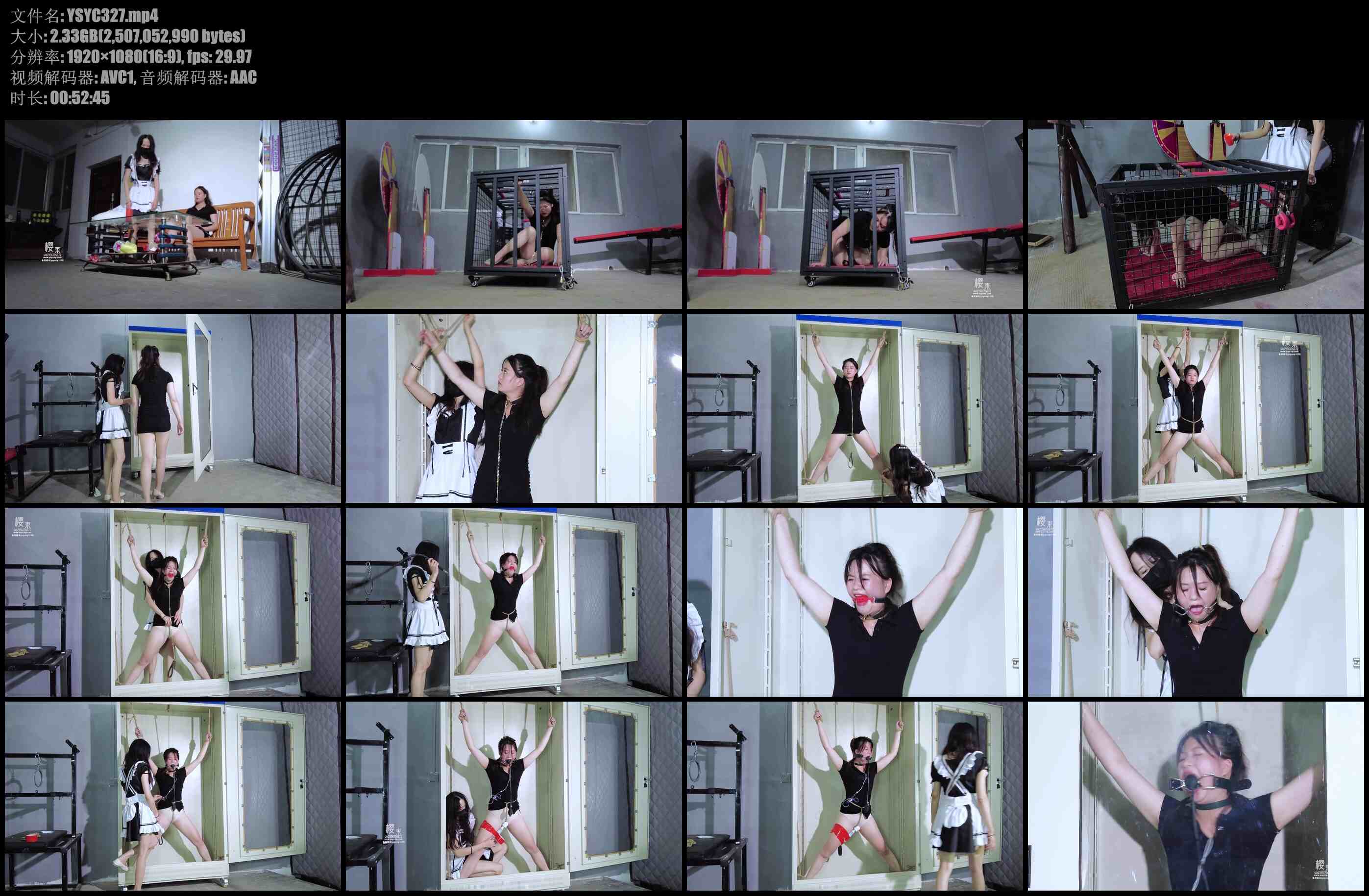 【樱束原创】女仆的反抗报复 女仆平常被主人辱骂抽打奴役今天实在忍不了了将主人捂晕…