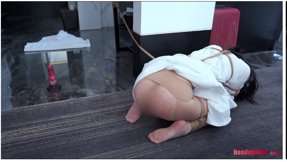 【绳精病】训妻之三 不忠的妻子为讨好丈夫顺从接受丈夫的母苟训练竟很快适应新身份