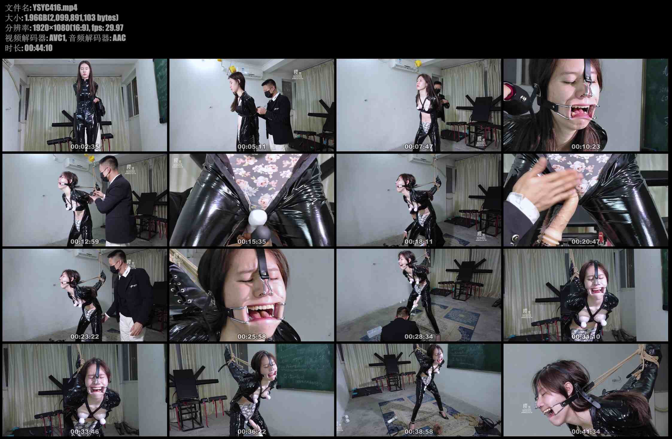 【樱束原创】搜查官的极限挑战 极限后手直臂K9开腿！开口器鼻勾马具折磨！吸R器强震！