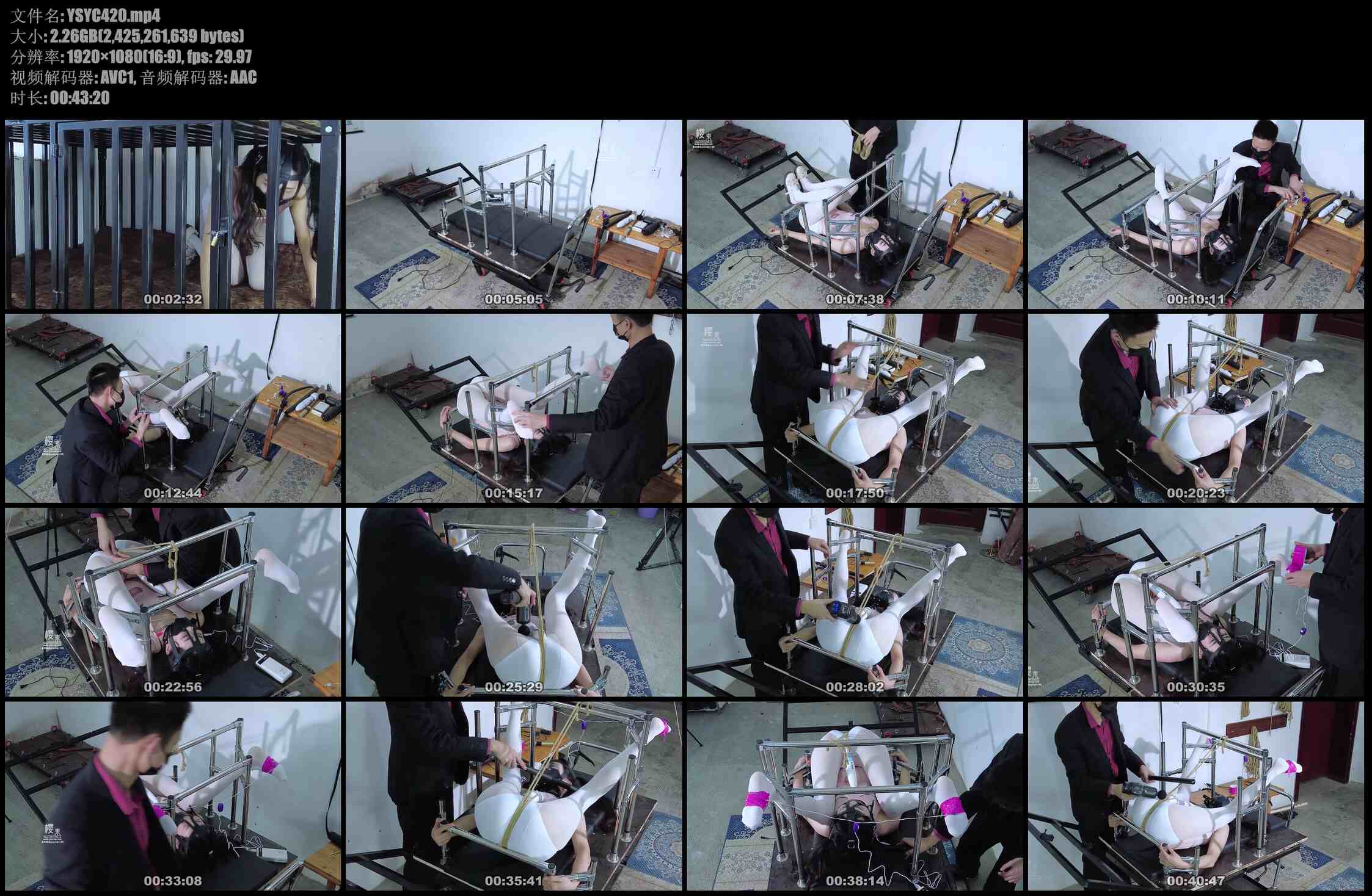 【樱束原创】型架惩罚夕洛 带圈养的夕洛出来放个风！将不听话的夕洛固定在型架上TK