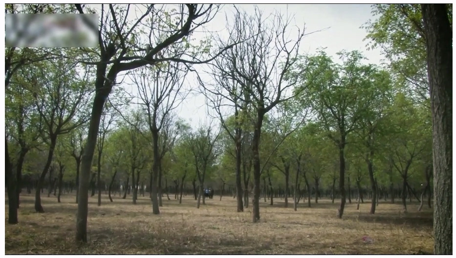 【怀旧影苑】去影2023版 上