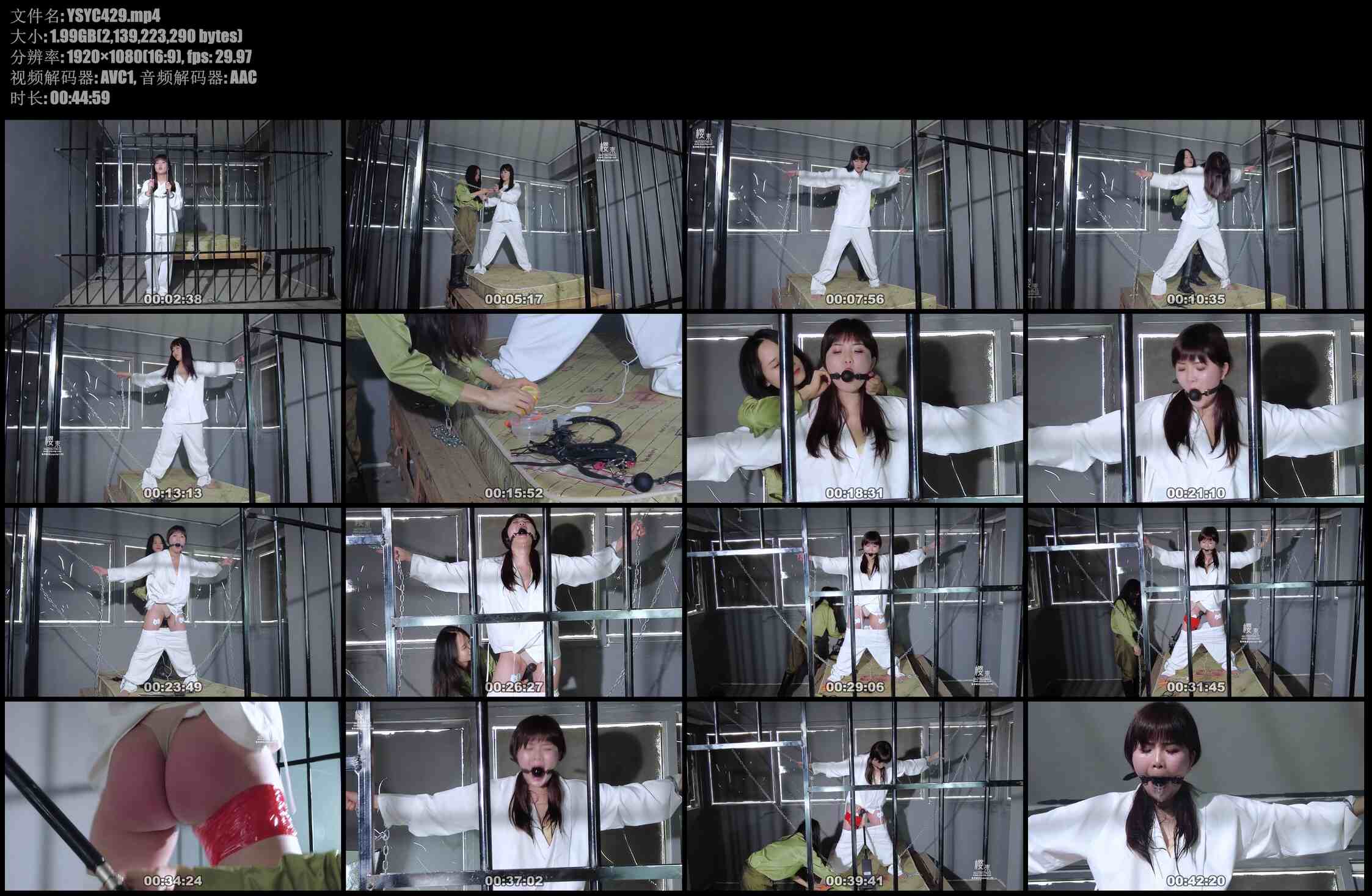 【樱束原创】刑犯的监管审讯 牢房大字铁链手铐捆绑！口球口塞紧塞！强喂柠檬汁酸到狂